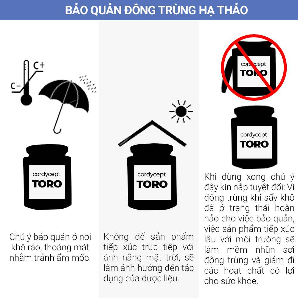 Đông trùng hạ thảo Toro 10g - tăng cường sinh lý, bồi bổ cơ thể, miễn dịch