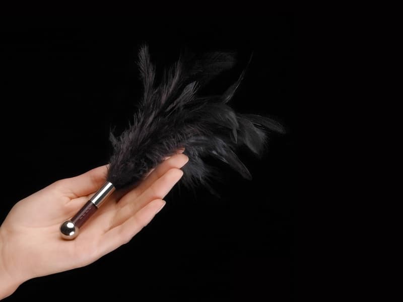 Chổi Lông Vũ SM Lelo Tantra Tăng Cảm Giác, Kích Thích Mạnh - SHP1058