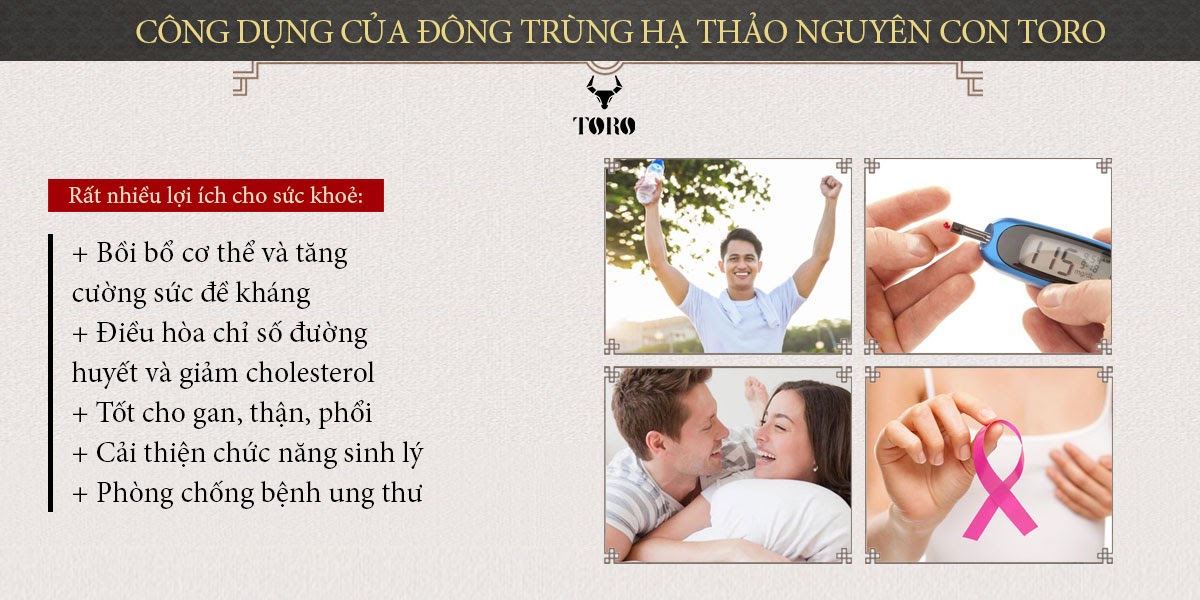 Đông trùng hạ thảo nguyên con 5g cao cấp bổ dưỡng tăng cường sức khỏe