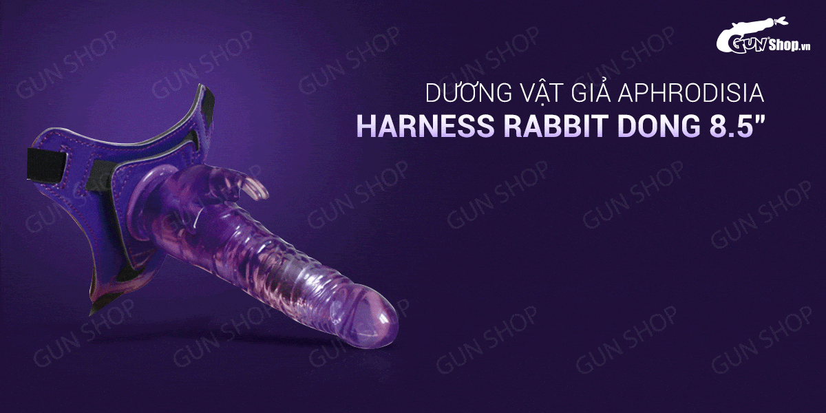  Nơi bán Dương vật giả có dây đeo 10 chế độ rung dùng pin - Aphrodisia Harness Rabbit Dong 8.5 loại tốt