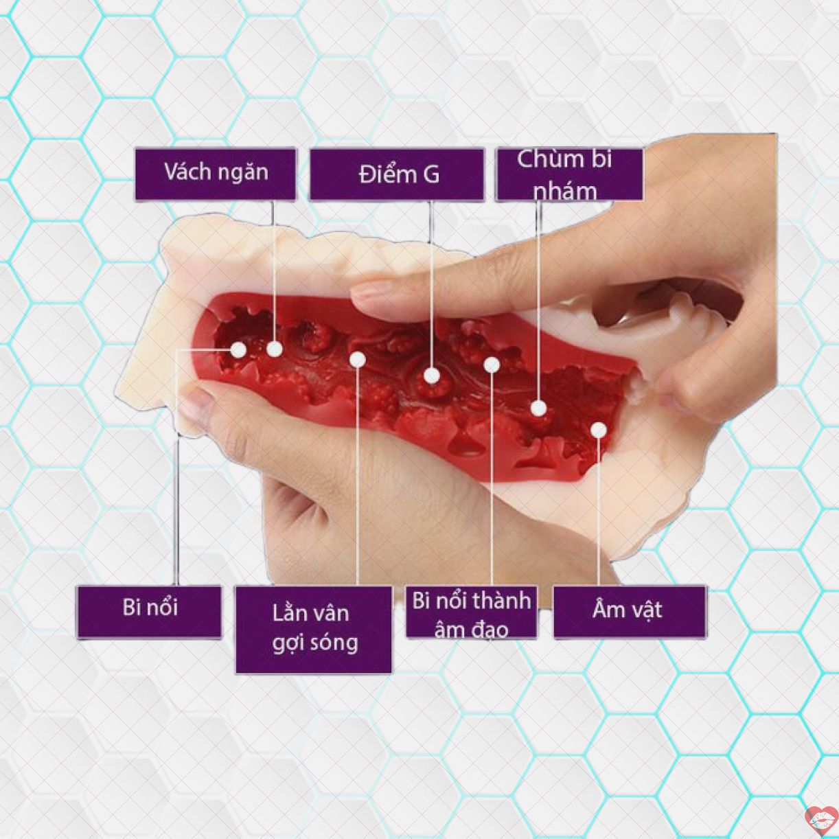 Leten âm đạo giả ruột 3D đỏ chân thực kích thích mạnh mẽ 