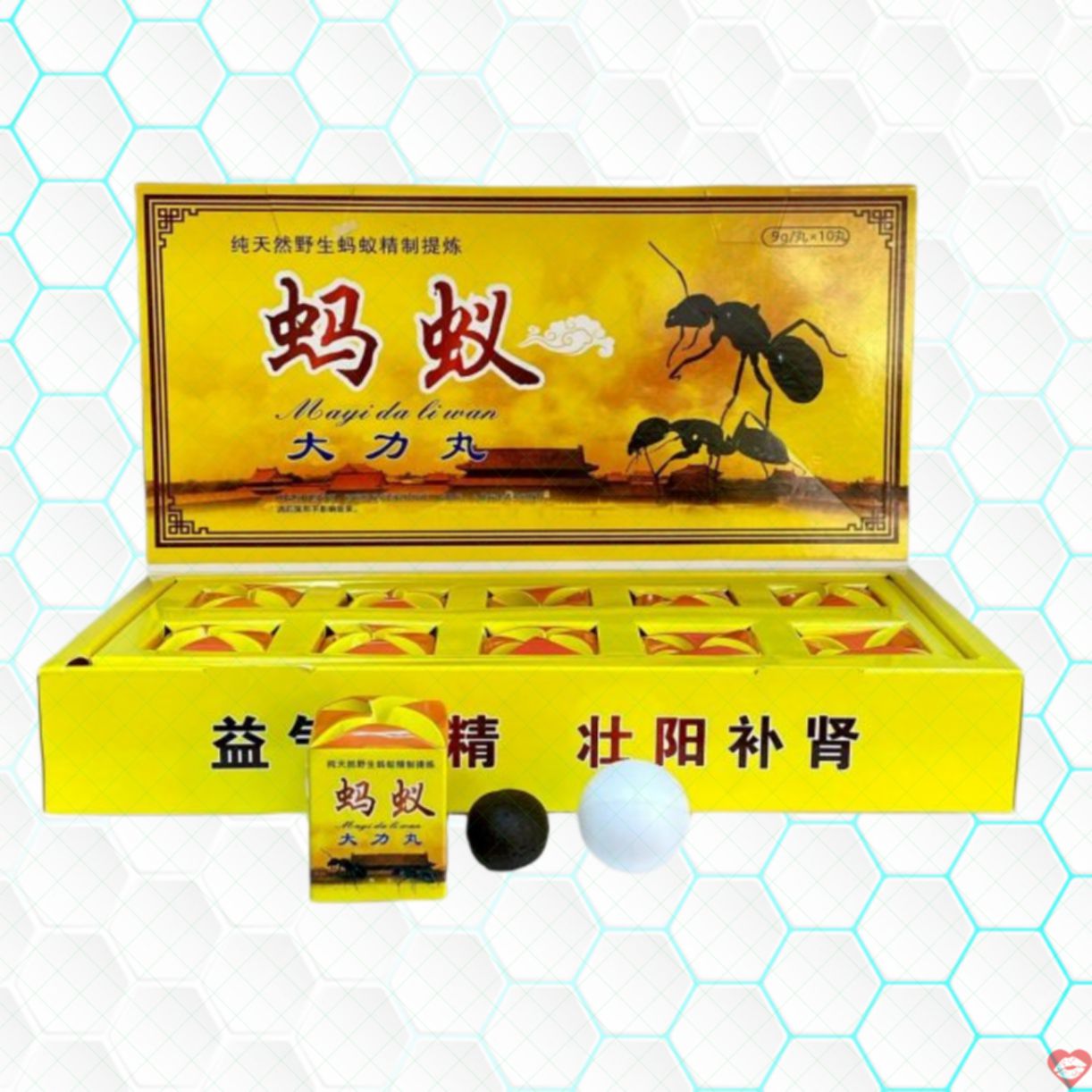 Viên Kiến Càng Đen Tây Tạng Hỗ Trợ Sinh Lý Nam Mạnh Mẽ 10v 