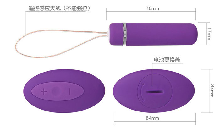  Cửa hàng bán Quần Lót Rung Chip Ren Mỏng Sexy NHẬT BẢN- TR46 hàng xách tay