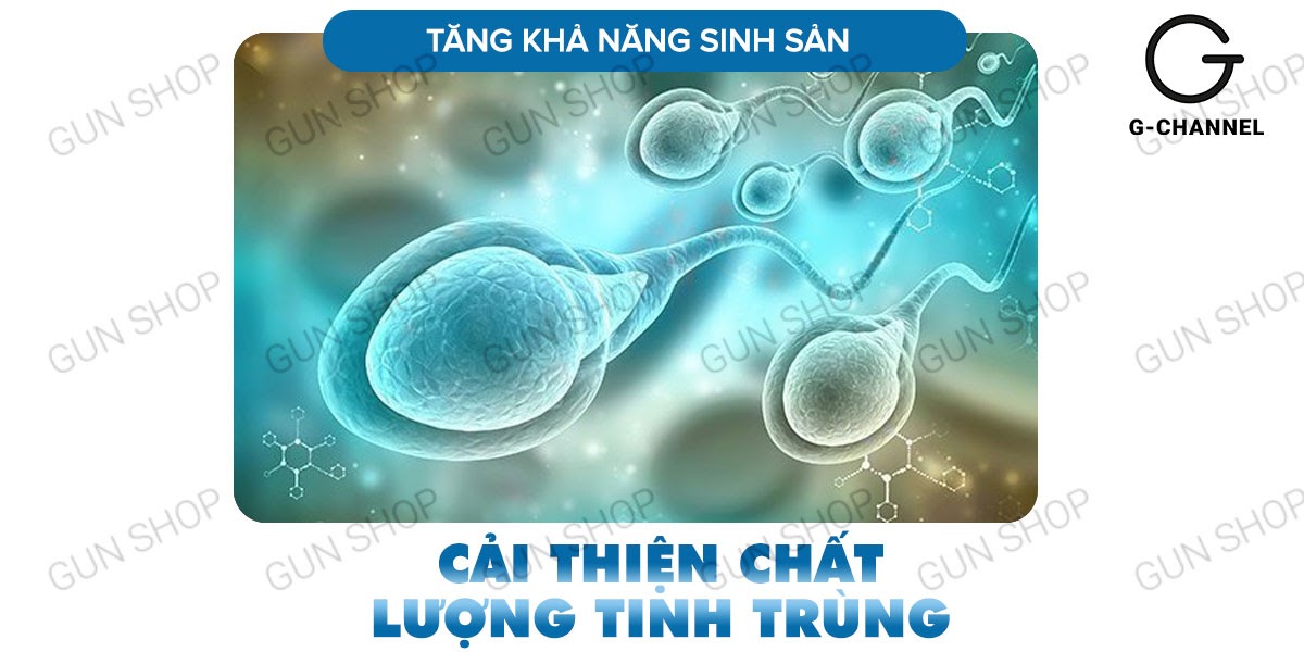 Phân phối Maxman chính hãng cương dương kéo dài thời gian chống xuất tinh sớm hộp 10 viên giá rẻ